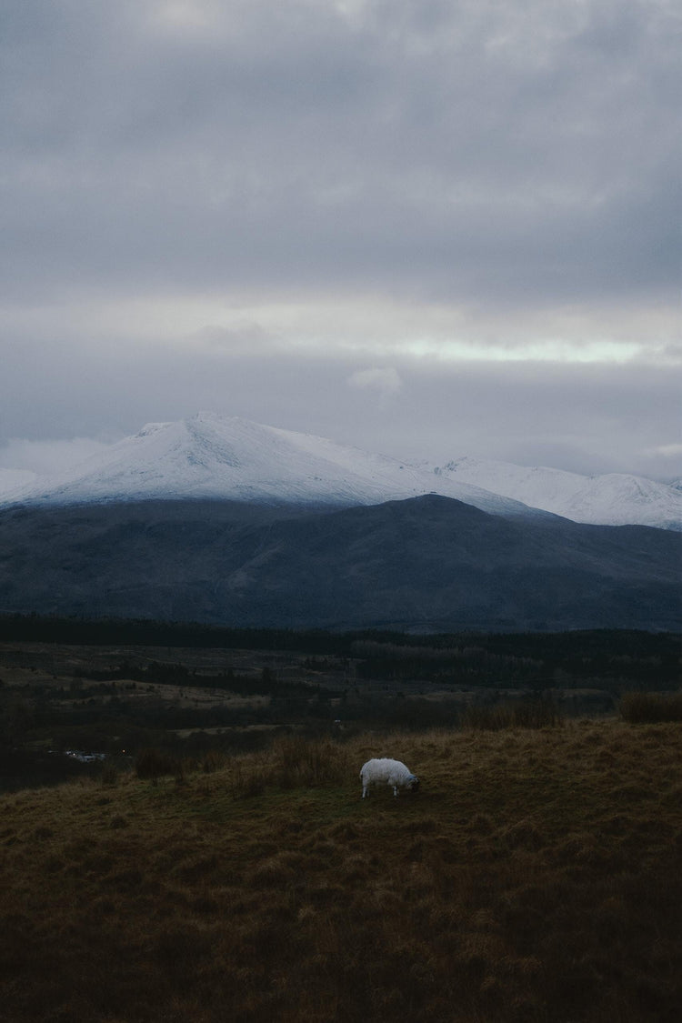 annabelle-demo3 Rings Arty Emerald Ring