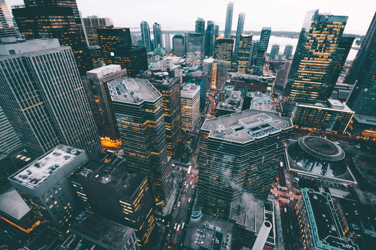 Larkin, Larson and Streich Books Re-contextualized Gorgeous Cotton Chicken - Frozen tan