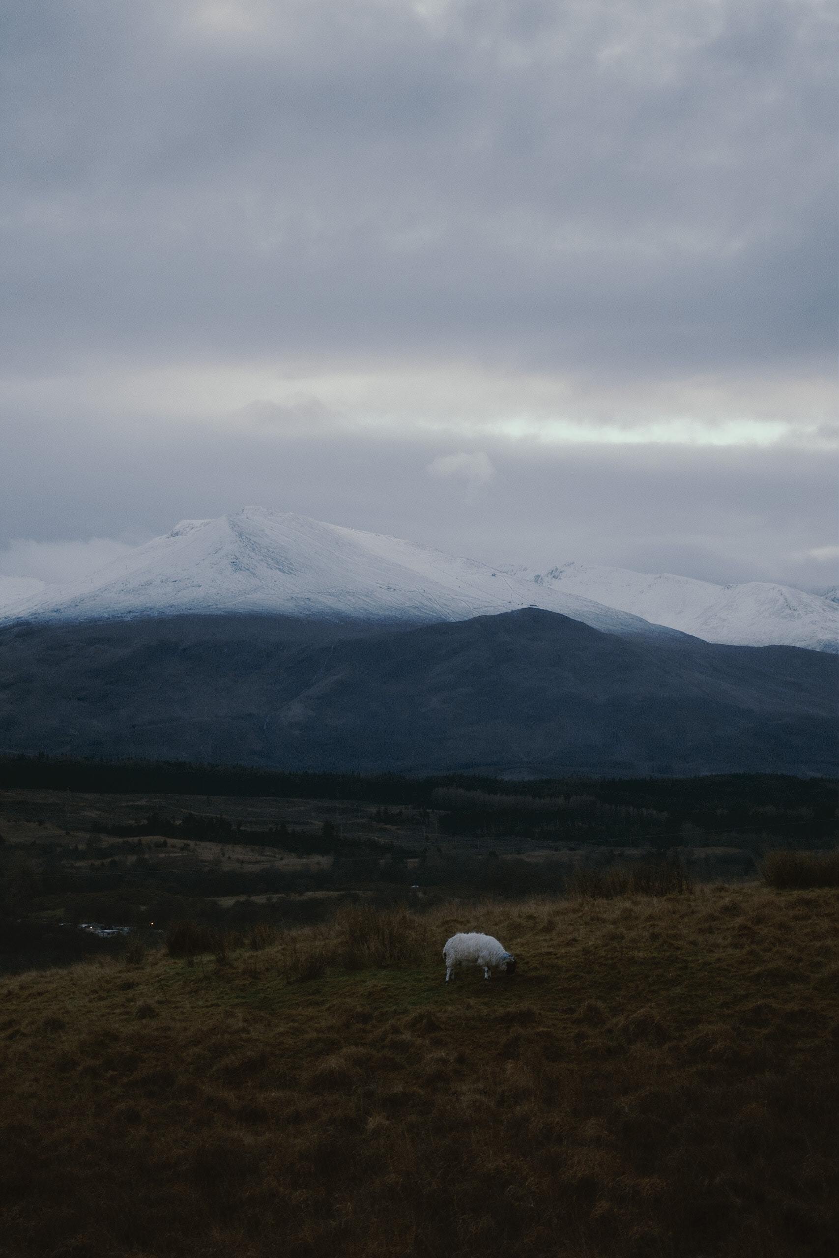 annabelle-demo3 Rings Arty Emerald Ring