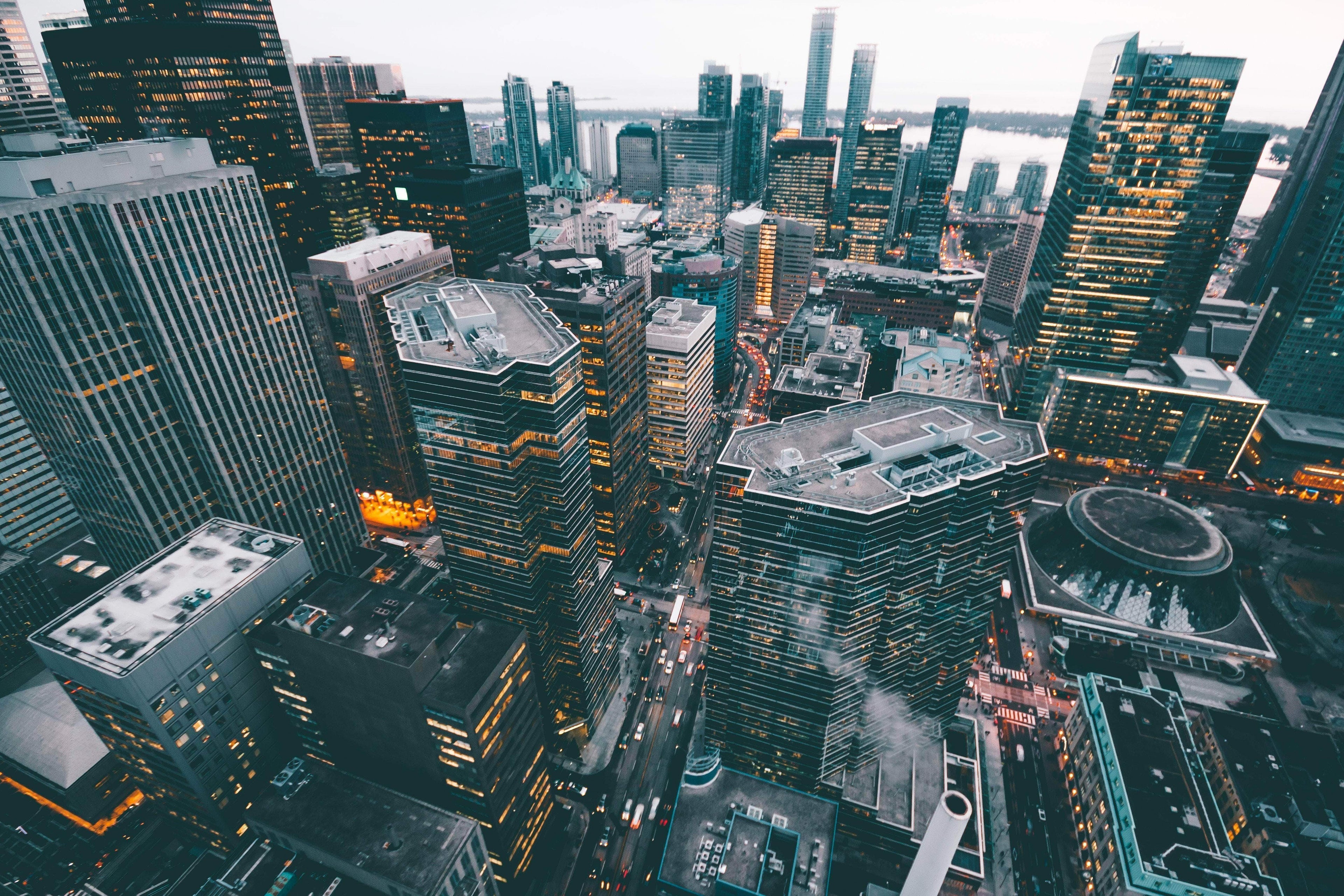 Larkin, Larson and Streich Books Re-contextualized Gorgeous Cotton Chicken - Frozen tan